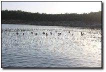 [img_8793.jpg]
